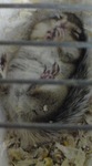 20071003.001.jpg